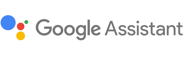 De Google Assistent