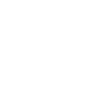 Alarm icon