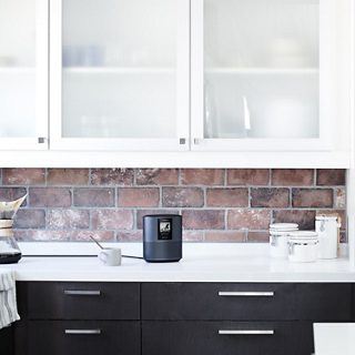 Bose Home Speaker 500