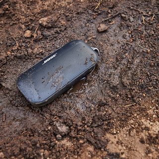 SoundLink Flex Bluetooth speaker