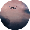 Airplane in the sky