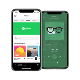 36 Best Photos Spotify Web App Slow / „Hey Spotify": Neue Sprachsteuerung für den ...