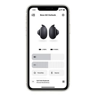 QuietComfort Earbuds Triple Black