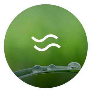 Tranquility icon