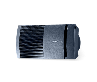 V-100 video speaker