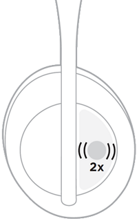 bose soapstone color
