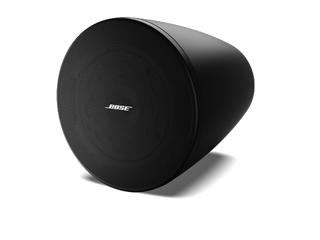 Bose DesignMax DM5P Loudspeaker (1 pair)