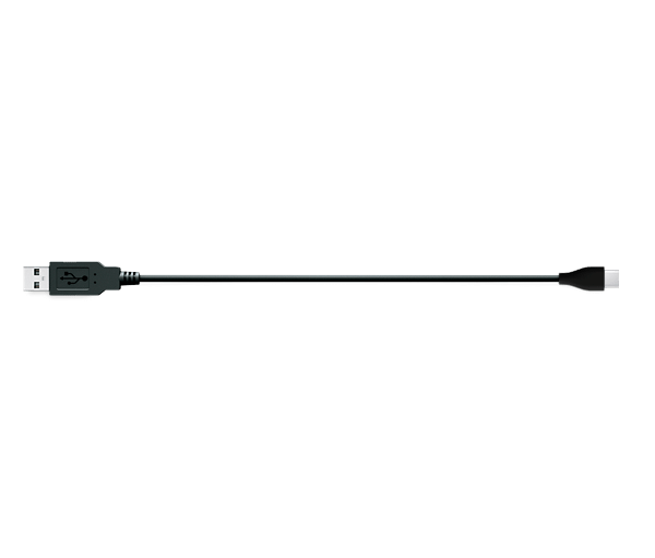 Bose USB C Charging Cable
