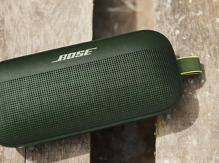 Cypress Green SoundLink Flex Bluetooth Speaker
