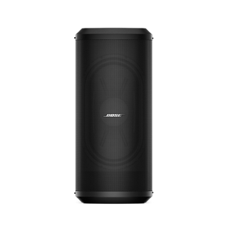 Modulo bassi amplificato Sub2
